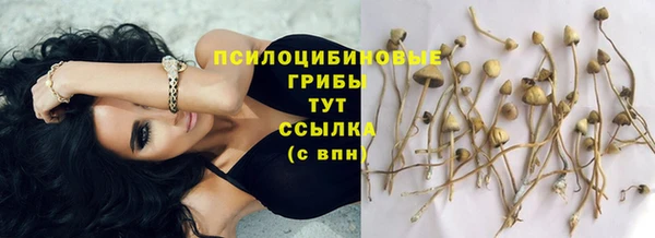 скорость mdpv Касимов