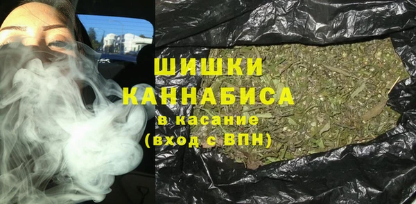 сатива Карталы