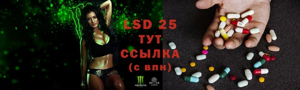 сатива Карталы
