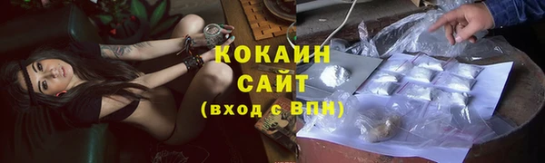 сатива Карталы