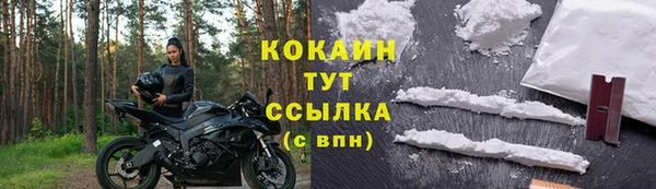 сатива Карталы