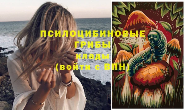 сатива Карталы