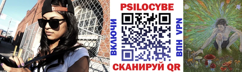 Псилоцибиновые грибы Psilocybe  Купить  Горбатов 